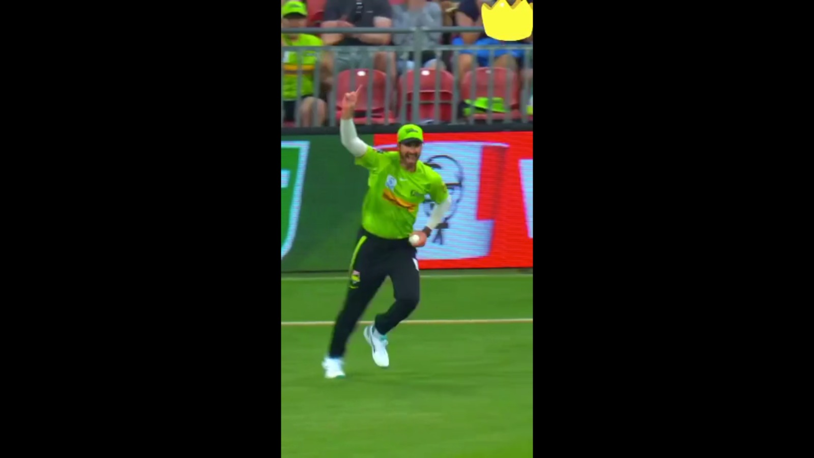 Big bash league best catch