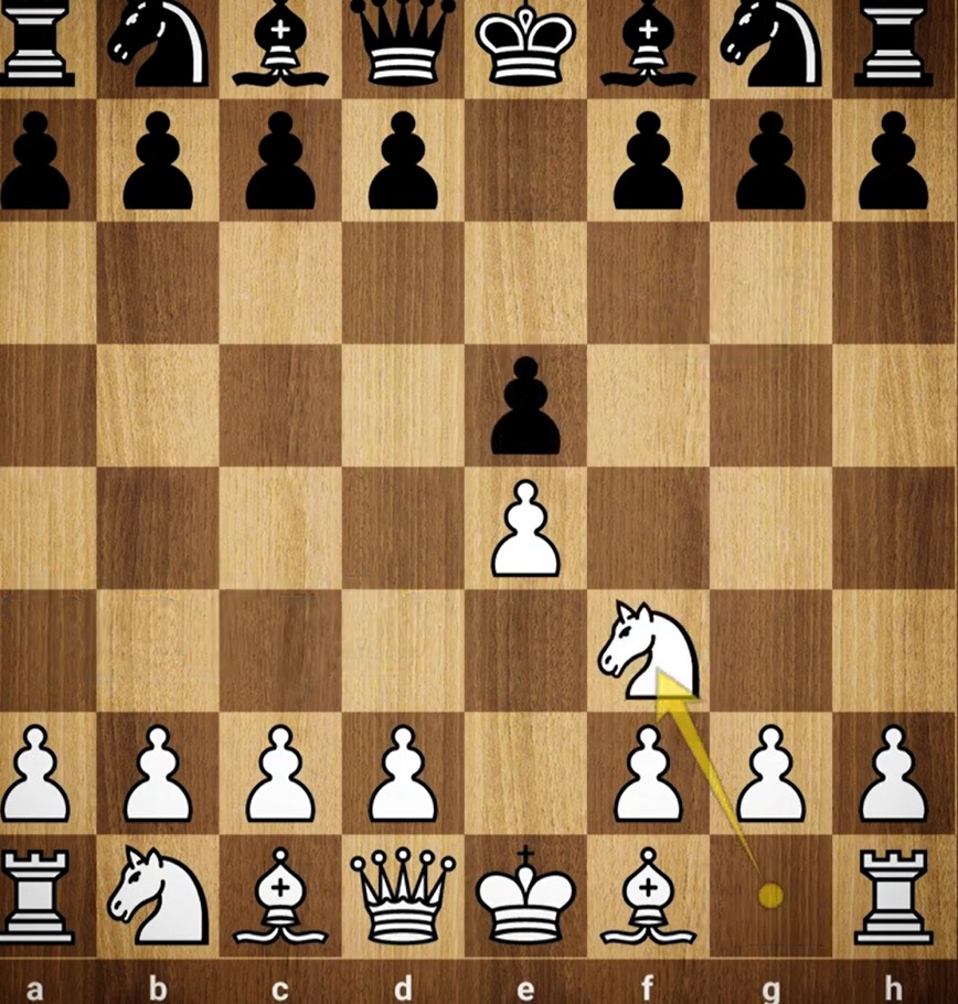 Amazing king hunt🔥#chess#shorts