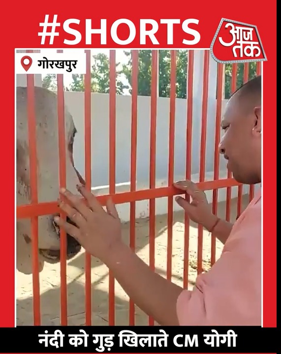 CM Yogi Adityanath का नंदी से बातचीत करते हुए Video हुआ Viral #shorts #cmyogi #viralvideo