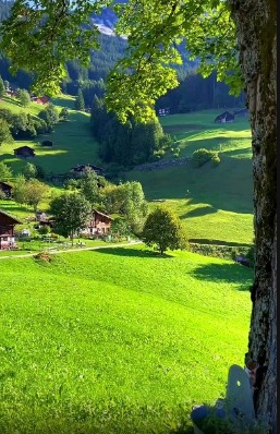 enjoying the nature of Switzerland! 🌿