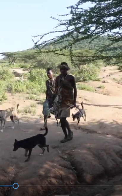 Hadzabe tribe Tanzania, Last Hunter Gathers #shorts