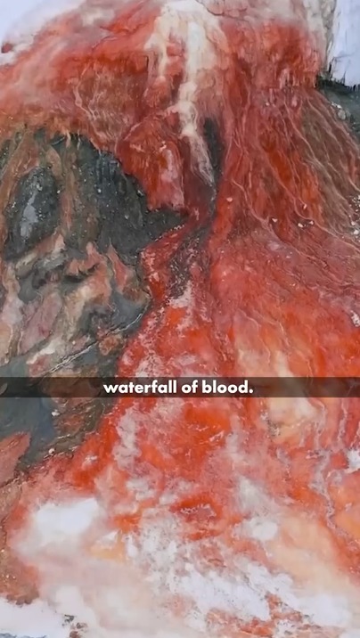 The Mysterious Blood Falls of Antarctica!