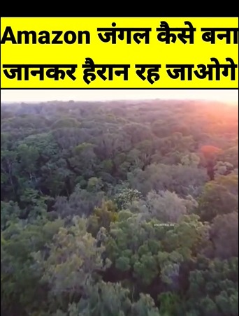 अमेज़न जंगल कैसे बना ? HOW DID THE AMAZON JUNGLE FORM | #shorts