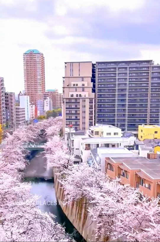 Unseen Places in The World ❤️ Amazing Tokyo ❤️ Beautiful Japan ❤️ Best Place To Visit #shorts