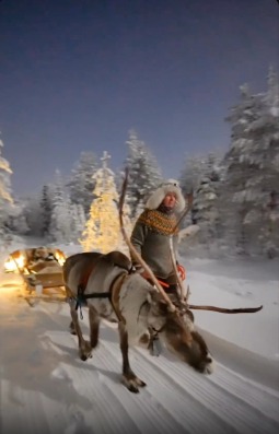 A night at a reindeer farm 🦌