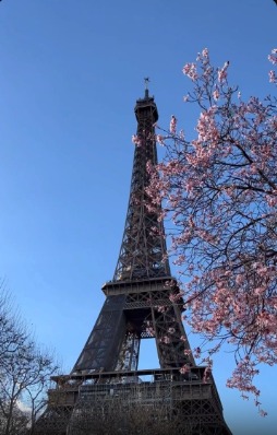 Paris beautifully