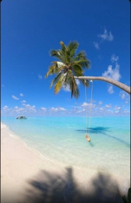 Dreaming of swing.🌴🏝🏖🌊💎💦