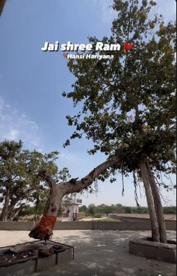 Jai shree ram 🚩 1000 year old without roots 🌳