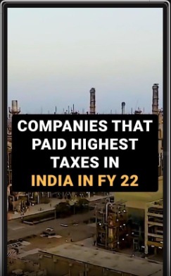 Whats the profit amount of the companies?