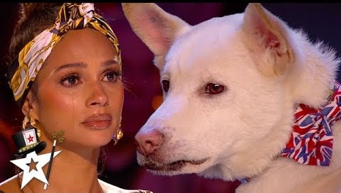 Judges Cry Over Emotional Dog Magic Act on Britain’s Got Talent 2020 | Magician’s Got Talent