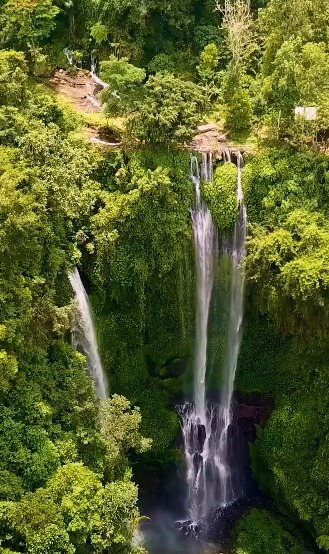 📍 Sekumpul Waterfall, Bali, Indonesia 🎶 wonderfulindonesia – Øneheart, reidenshi – snowfall