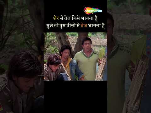 Dhamaal #short #shorts #reels #shortvideo #dhammal #asrani #comedy #babubhai #comedyshorts