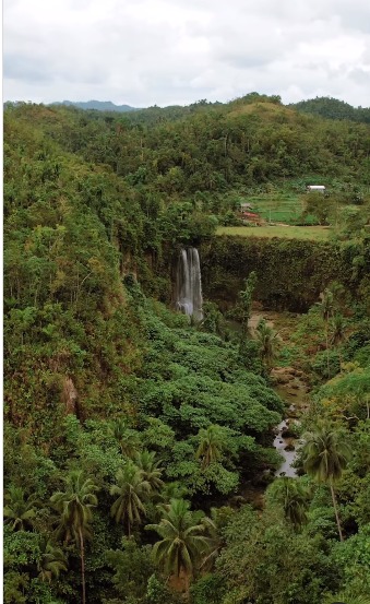 Hidden Jungle Waterfalls 🌿