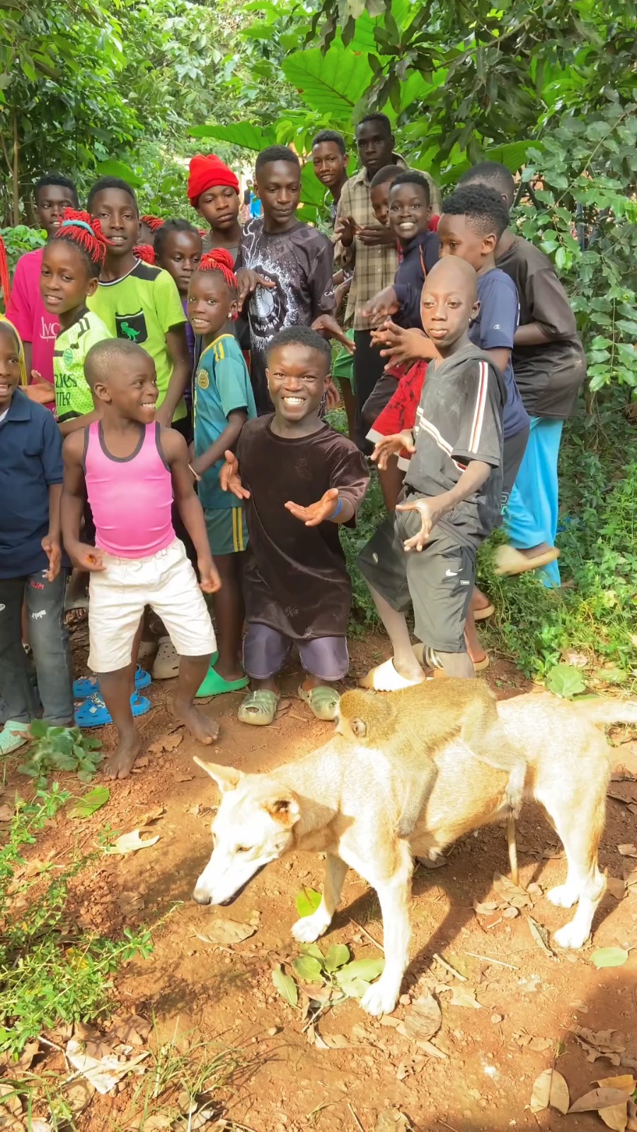 Our monkey and dog at wembly mo orphanage