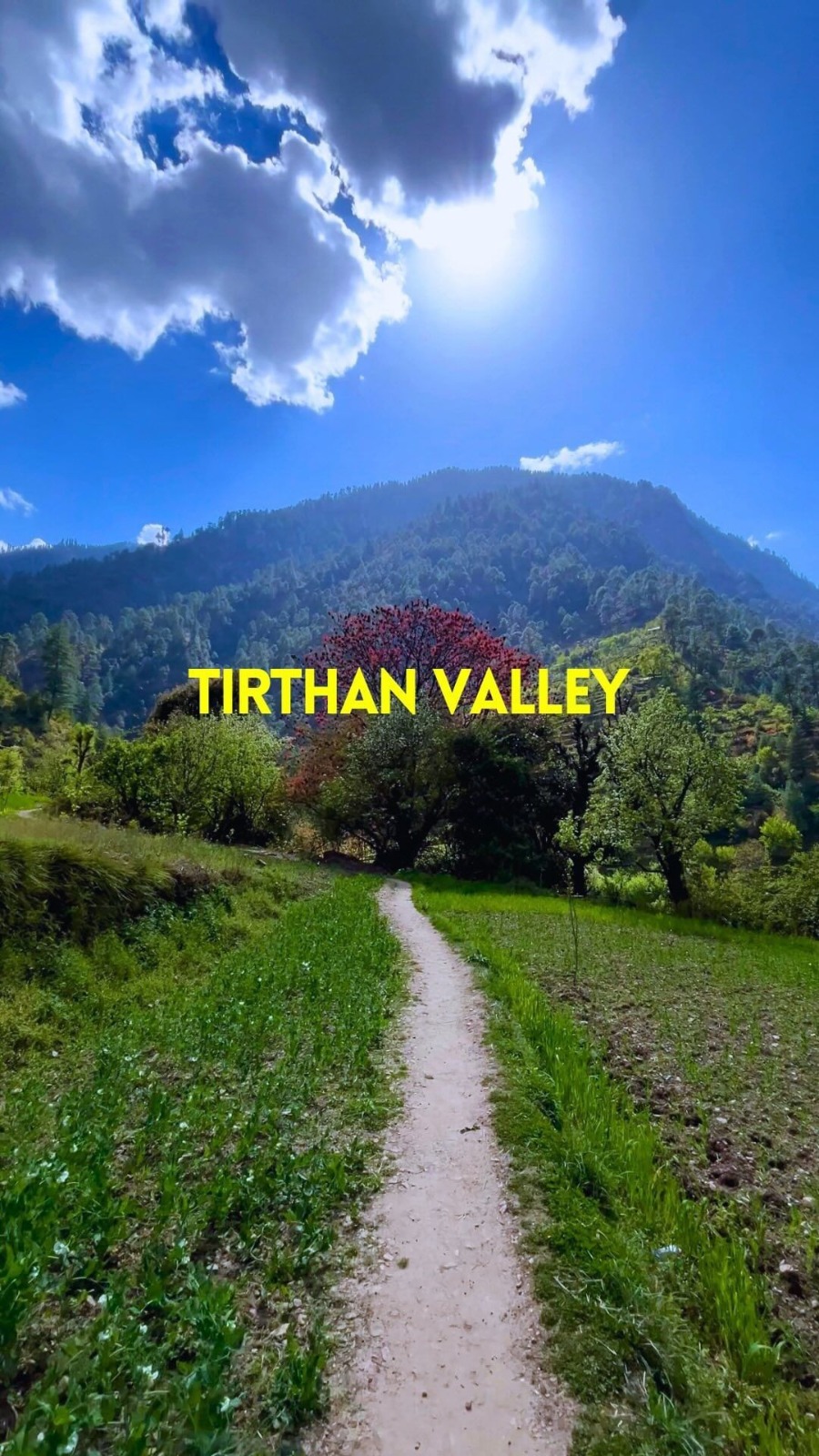 Things to do in Tirthan Valley: 1. Trekking: 2. Fishing 3. Visit Waterfalls