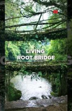 Unbelievable Root Bridges of India | Meghalaya #discovermeghalaya