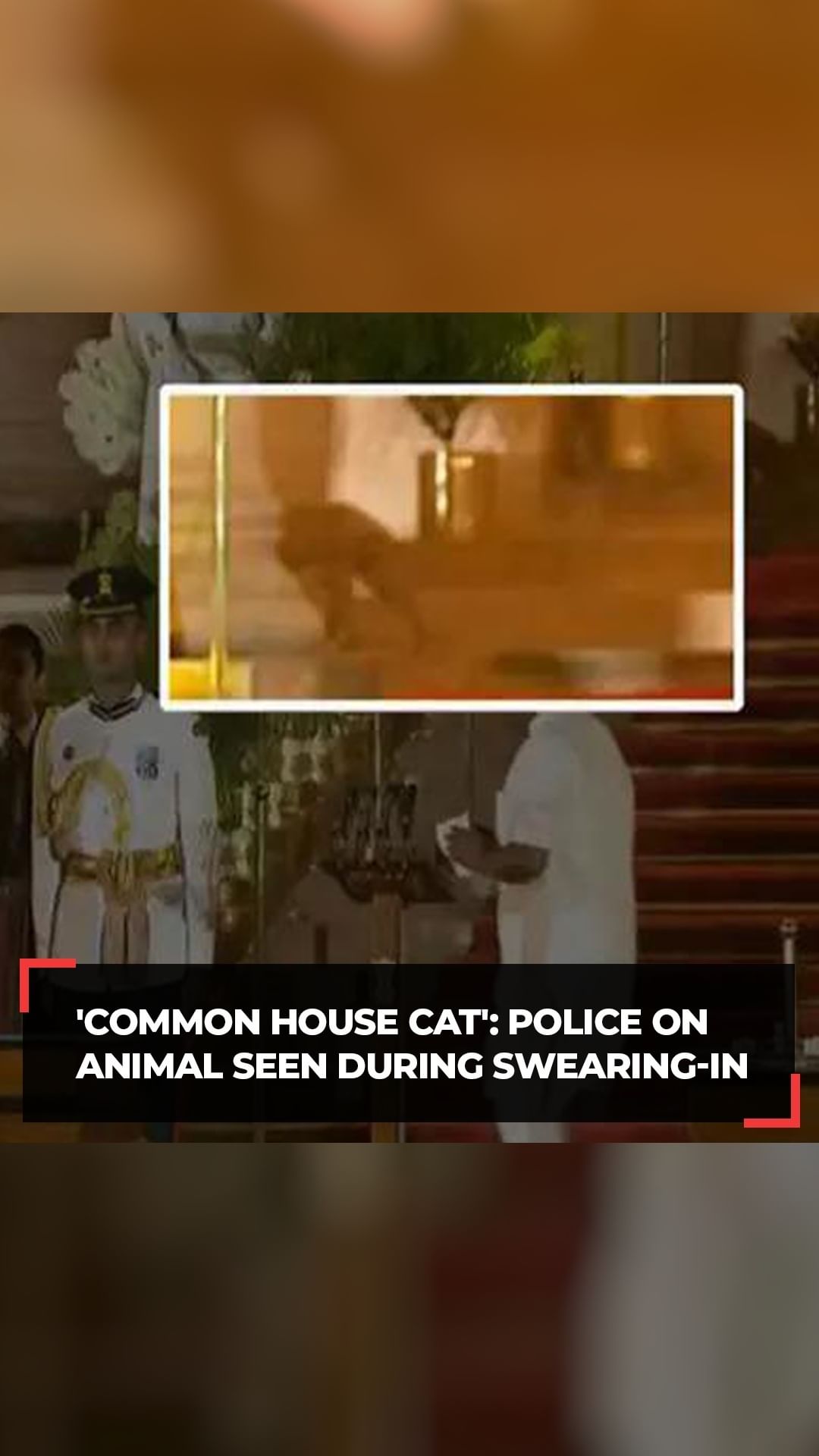 ‘Not a leopard, Not a big #cat,’ DelhiPolice clarifies on ‘mysterious animal’ seen at RashtrapatiBhavan during oath ceremony