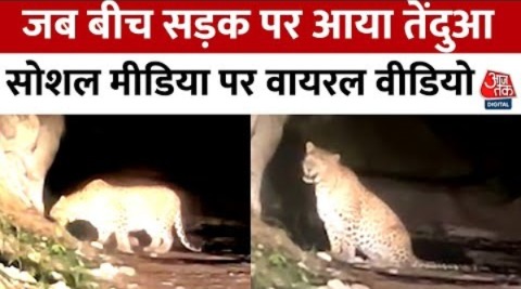 Uttarakhand के चंबा में रात के समय तेंदुए का सड़क पर घूमते हुए वीडियो वायरल | Aaj Tak Hindi News