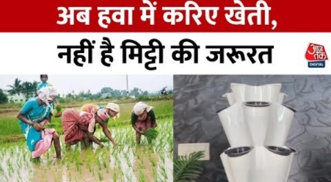 Hydroponic Farming: खेती के लिए अब मिट्टी की नहीं पड़ेगी जरूरत, बेरोज़गारों के लिए नई तकनीक | Noida