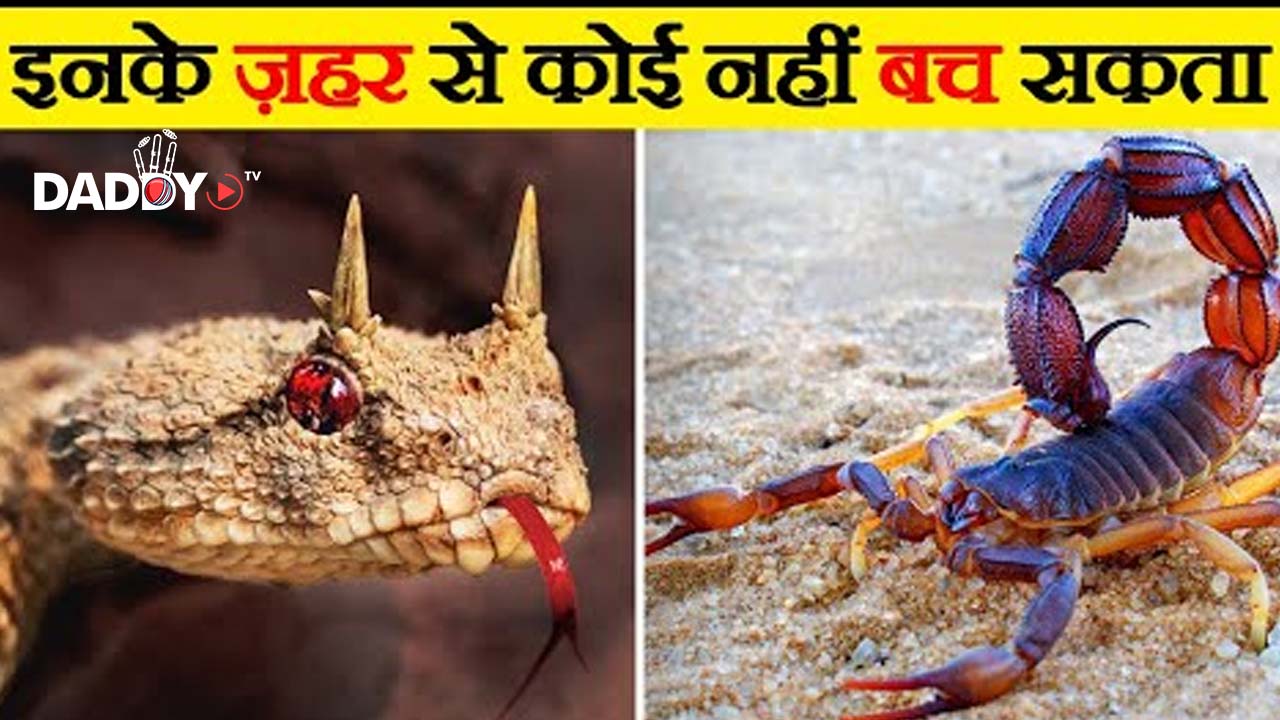 दुनिया के सबसे जहरीले जानवर | Most Poisonous Animals in the World