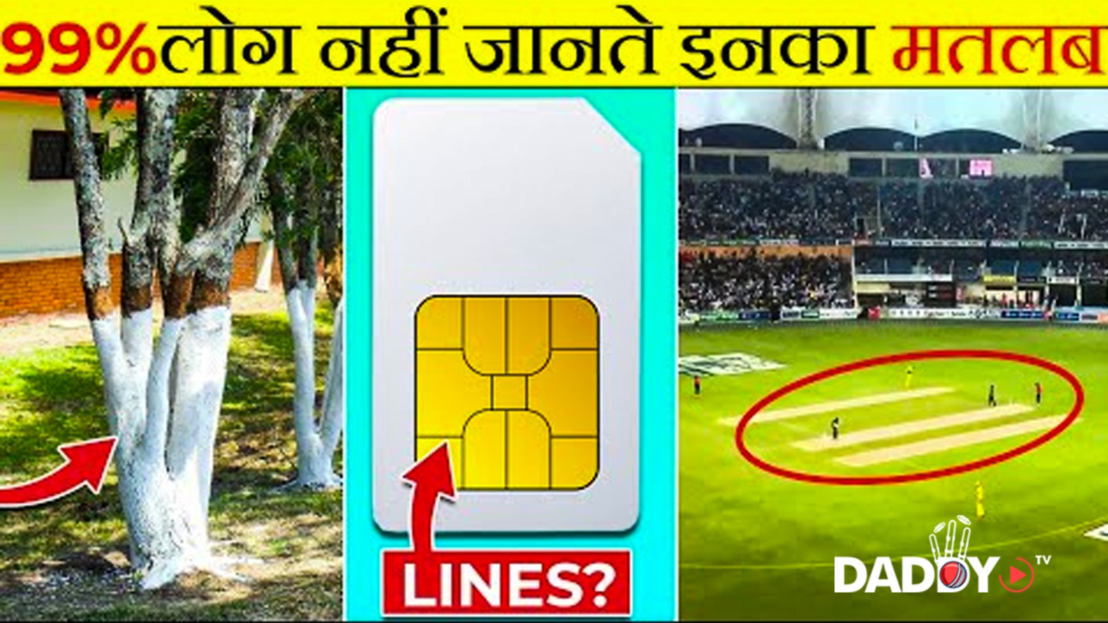 यह सिर्फ दुनिया के कुछ लोगे जानते है? Common things you don’t know the purpose | its fact