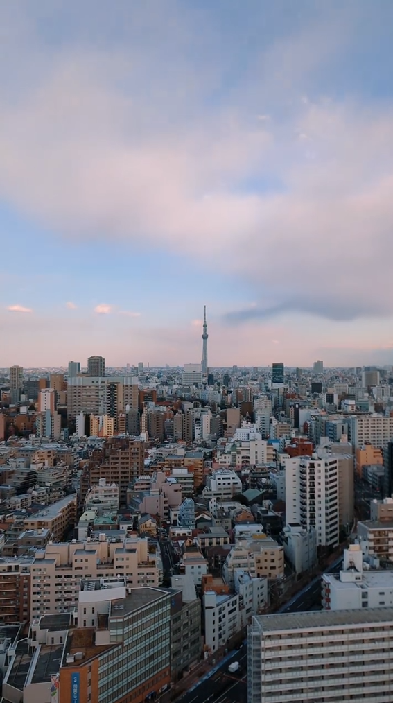 Sunset over the Tokyo Skytree.