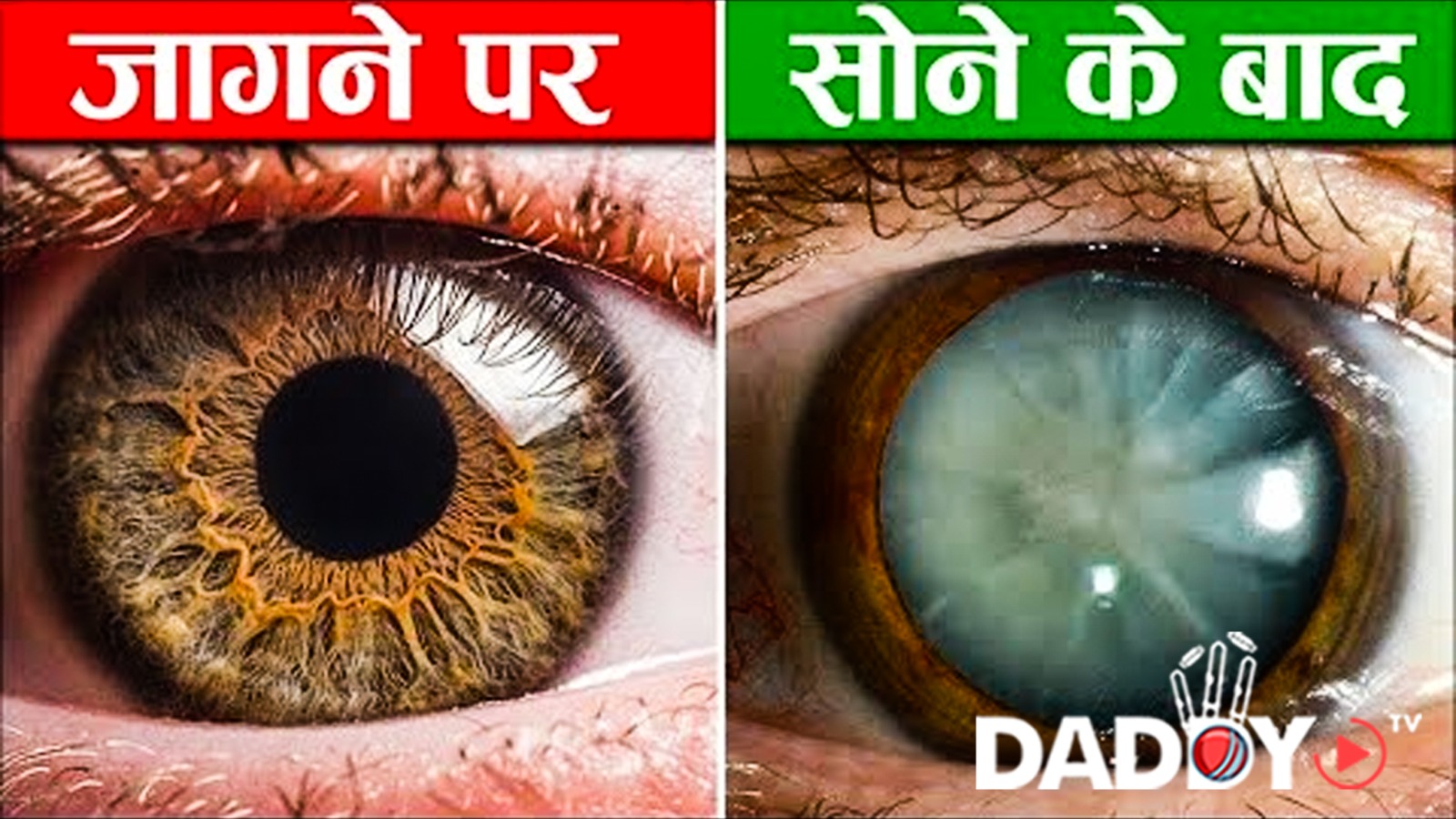 इंसानी शरीर के ये २५ रहस्य आपके होश उड़ा देंगे । 25 Unbelievable Facts of Human
