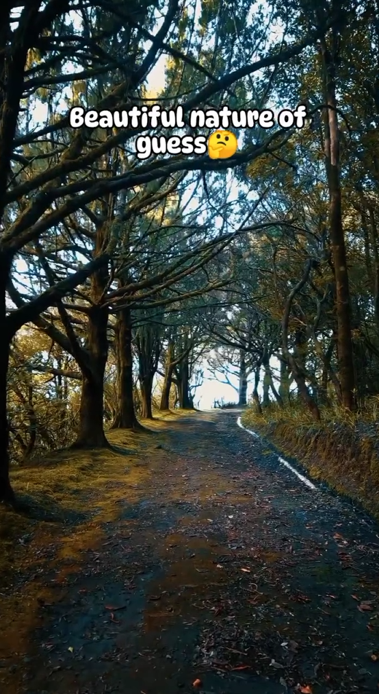 The Beautiful Nature Of MadeiraLocation Madeira