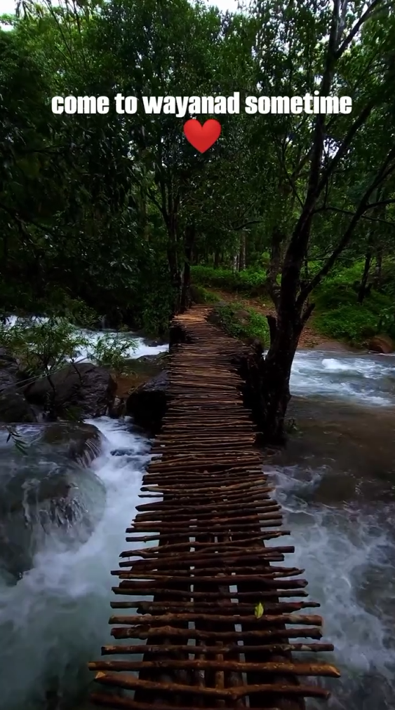 come to wayanad sometime ❤
