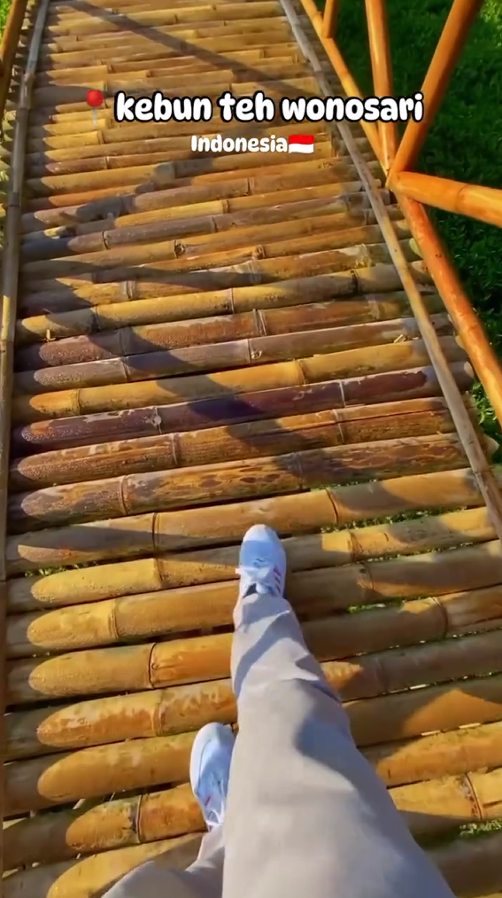 kebun teh wonosari, Indonesia