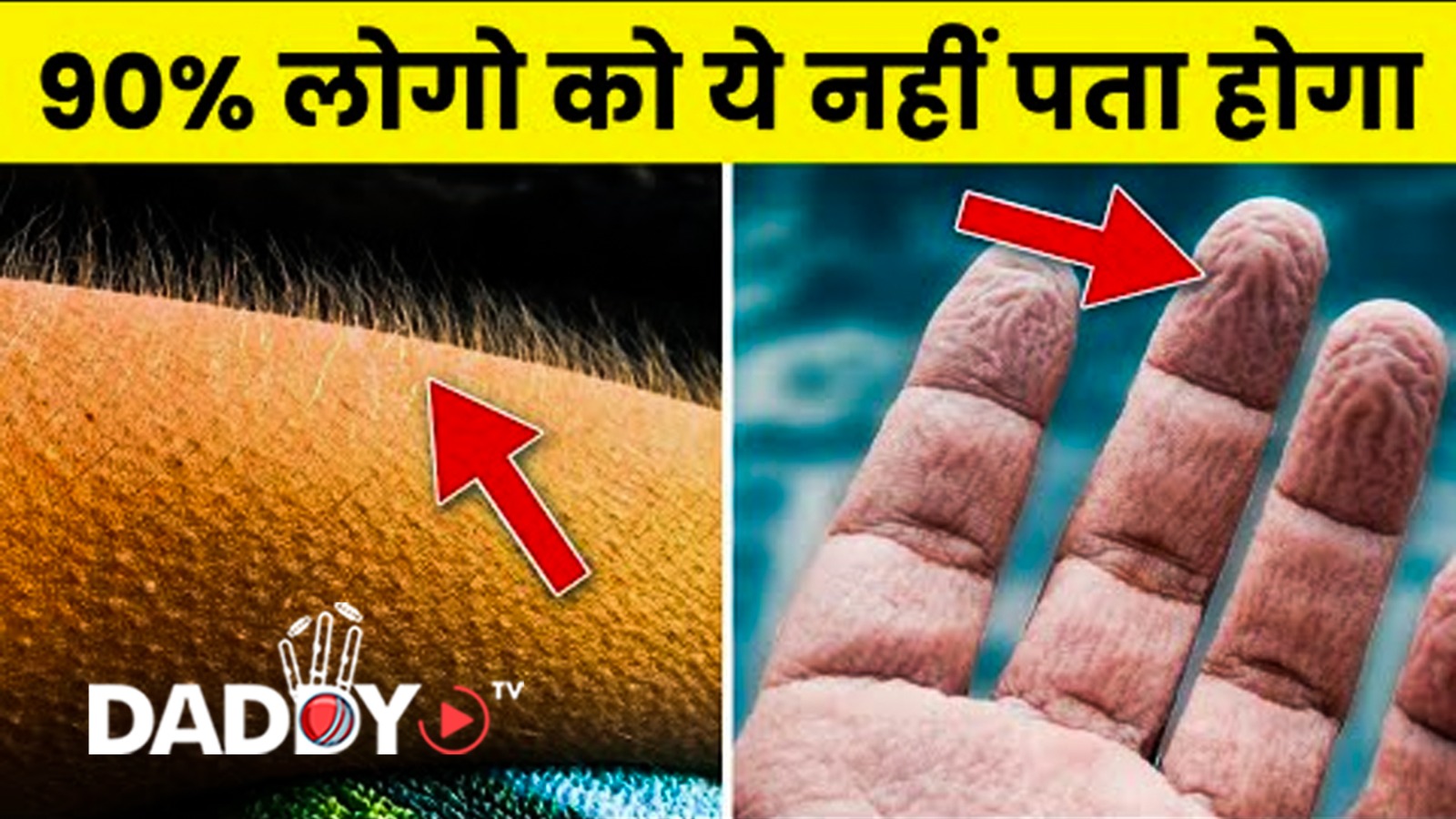 शरीर से जुड़े ये फैक्ट आपके होश उड़ा देंगे | Amazing Facts About the Human Body | Rewirs Facts