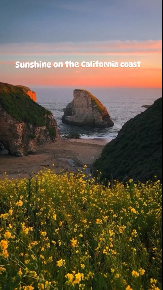 Sunshine on the California coast
