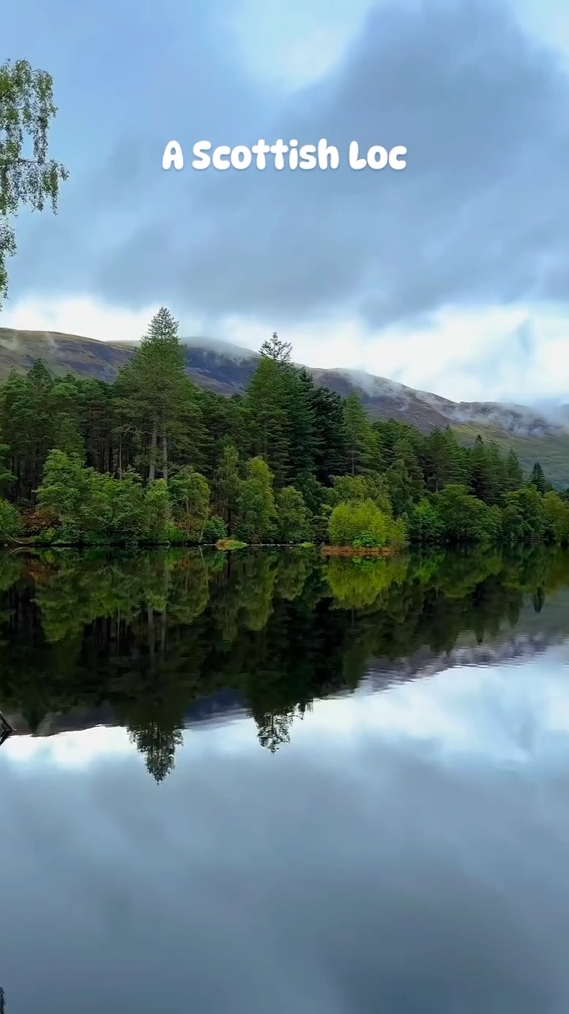 A Scottish LoC