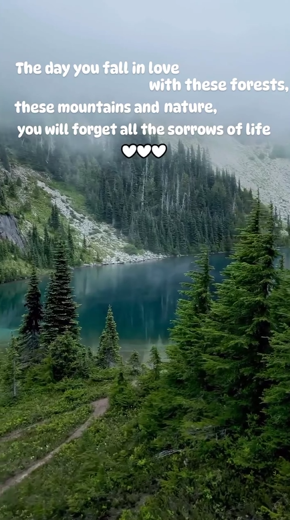 The day you fall in love with these forests, these mountains and nature, you will forget all the sorrows of life ❤❤❤