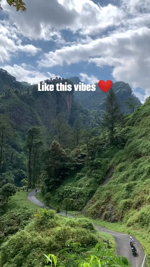 vibes ❤