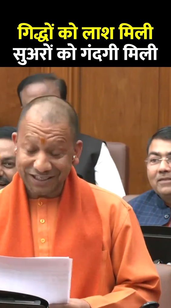 अब सुअर नाराज हो जाएंगे