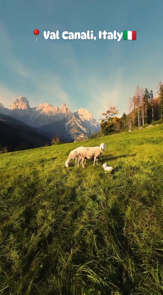Location Val Canali,