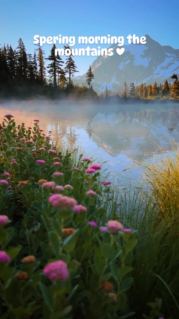 Spering morning the mountains ❤