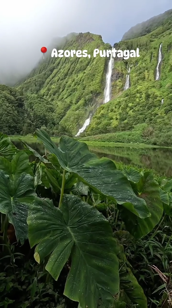 Azores, Purtagal
