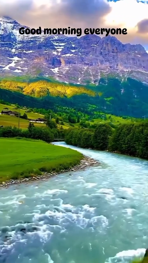 Good morning everyone