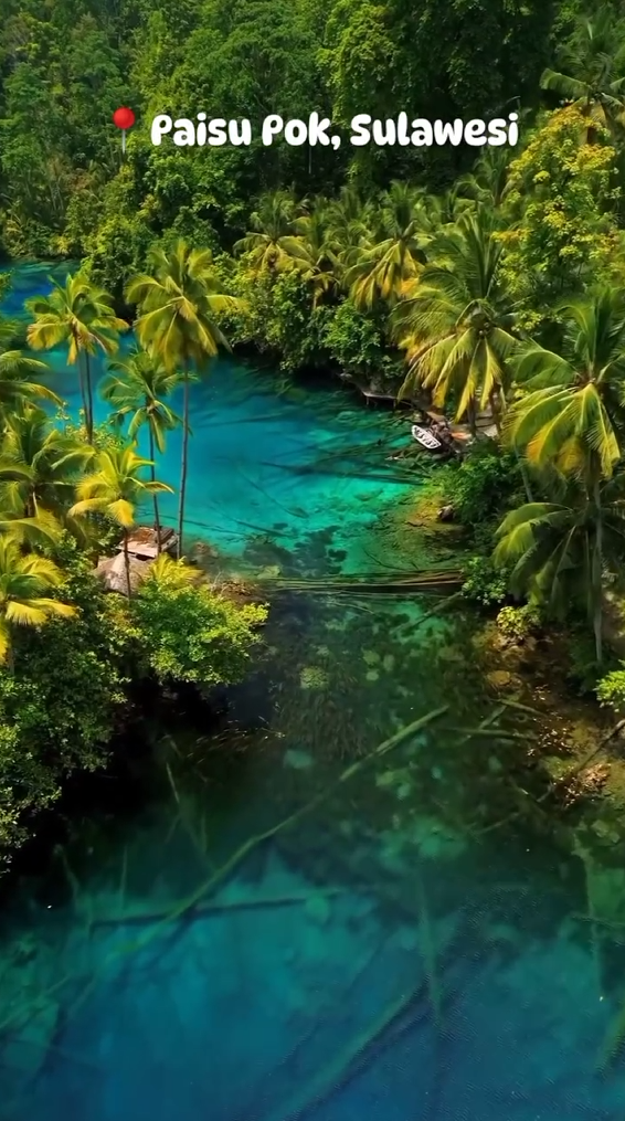 Paisu Pok, Sulawesi