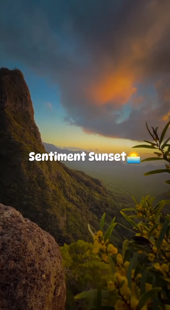 Sentiment Sunse