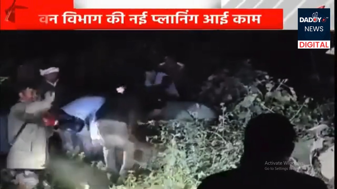 Lucknow में दबोचा गया ‘खूंखार’ बाघ, 90 दिन बाद मिली सफलता…वन विभाग की नई प्लानिंग आई काम