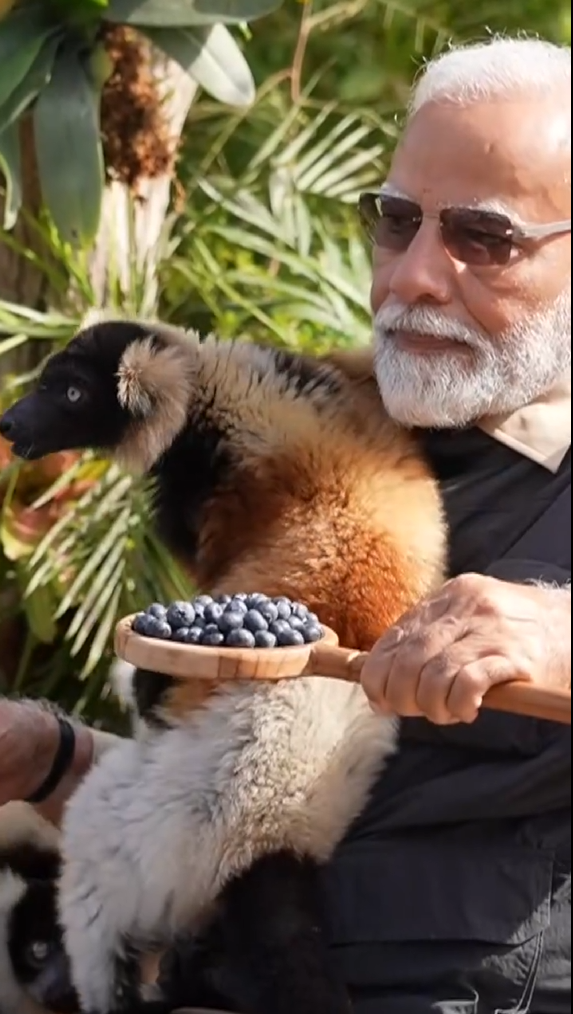 Cuteness and greatness in one frame from Vantara!