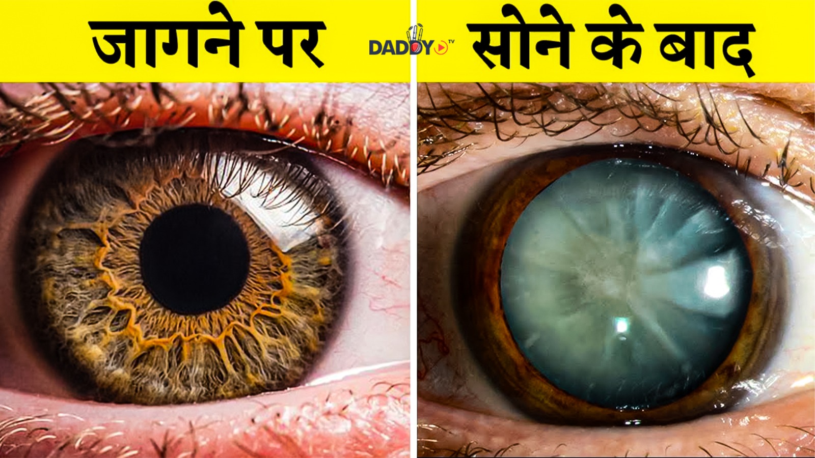इंसानी सरीर के ऐसे रहस्य जो आपके होश उड़ा देंगे SHOCKING THINGS ABOUT OUR HUMAN BODY
