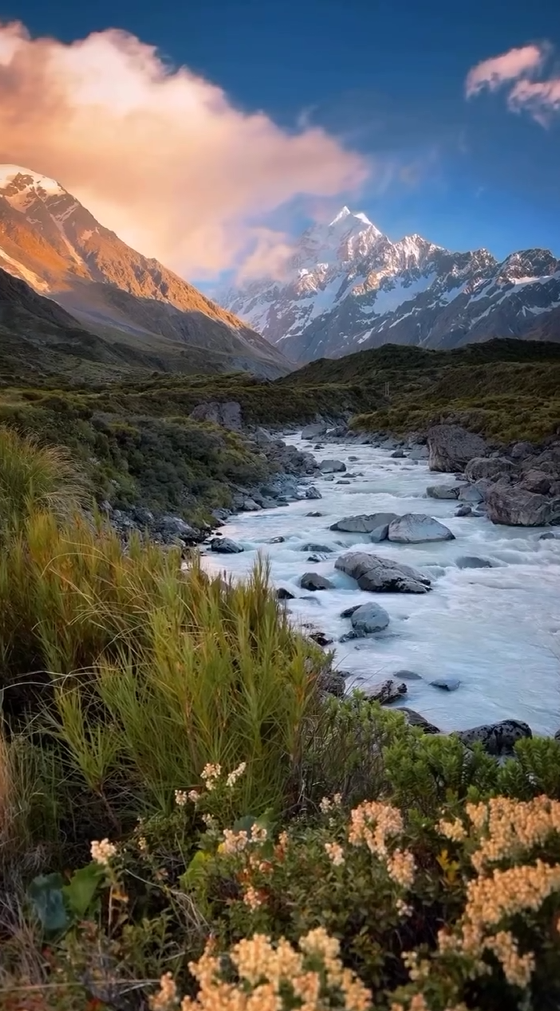 New Zealand