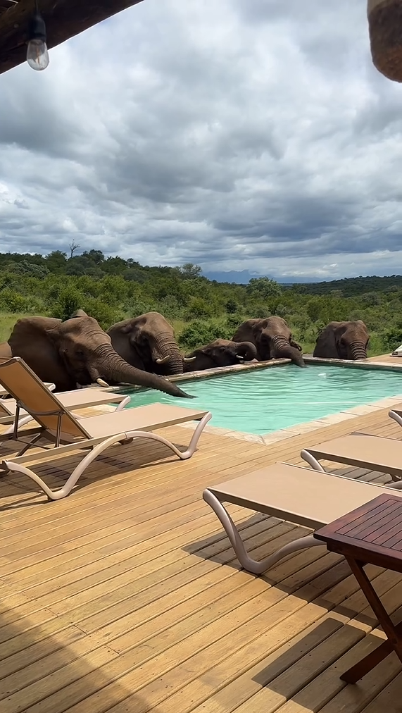 Isambane Camp, South Africa